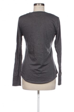 Damen Shirt American Eagle, Größe L, Farbe Mehrfarbig, Preis € 17,00