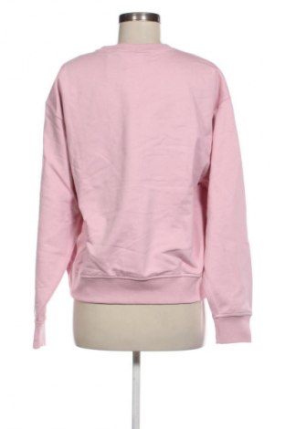 Damen Shirt Calvin Klein Jeans, Größe M, Farbe Rosa, Preis 99,99 €