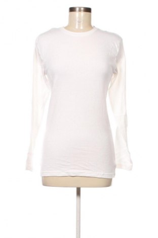 Γυναικεία μπλούζα CedarWood State, Μέγεθος S, Χρώμα Λευκό, Τιμή 7,99 €