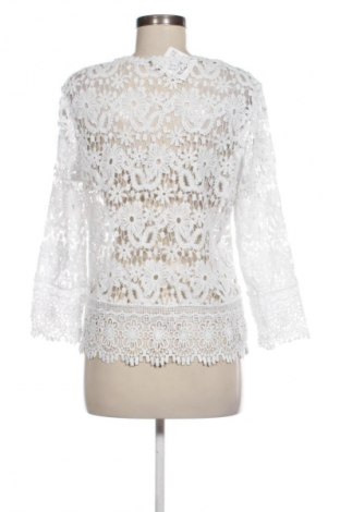 Damen Shirt Colloseum, Größe S, Farbe Weiß, Preis € 4,99