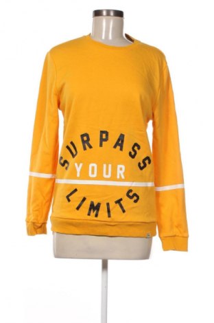 Damen Shirt Forest, Größe S, Farbe Mehrfarbig, Preis € 7,99