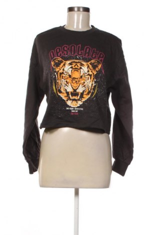 Damen Shirt H&M, Größe S, Farbe Braun, Preis € 8,99