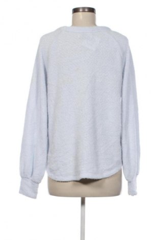 Damen Shirt Hollister, Größe L, Farbe Blau, Preis € 8,99