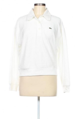 Damen Shirt Lacoste, Größe M, Farbe Weiß, Preis € 95,99
