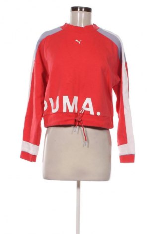 Damen Shirt PUMA, Größe S, Farbe Mehrfarbig, Preis 24,55 €