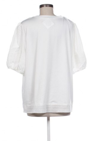 Damen Shirt SHEIN, Größe XXL, Farbe Mehrfarbig, Preis € 9,70