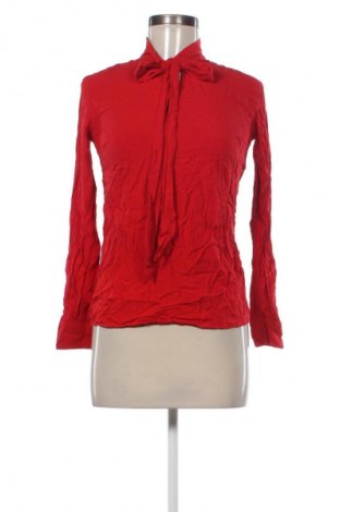 Damen Shirt Sinsay, Größe XS, Farbe Rot, Preis € 9,70