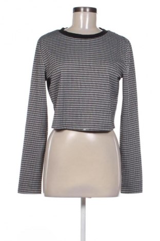 Damen Shirt Terranova, Größe L, Farbe Mehrfarbig, Preis 10,00 €