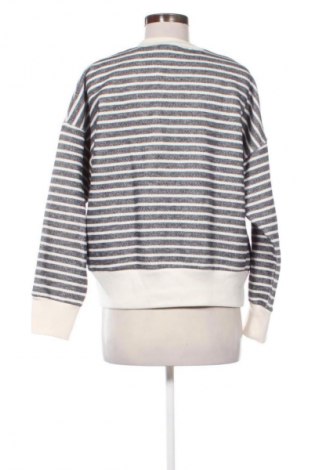 Damen Shirt Zara, Größe L, Farbe Mehrfarbig, Preis € 14,00
