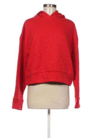 Damen Shirt Zara, Größe L, Farbe Rot, Preis 9,99 €