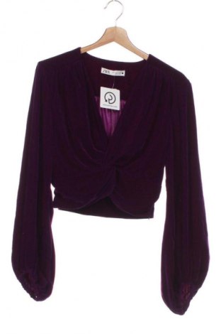Damen Shirt Zara, Größe M, Farbe Lila, Preis 10,99 €