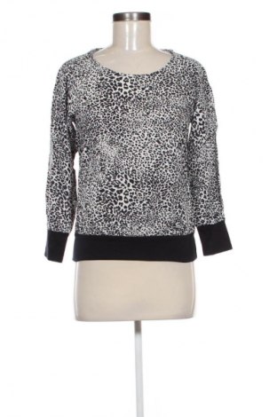 Damen Shirt Zara, Größe S, Farbe Mehrfarbig, Preis € 9,99