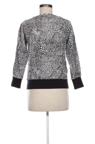 Damen Shirt Zara, Größe S, Farbe Mehrfarbig, Preis € 9,99