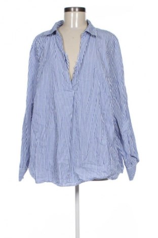 Damen Shirt Zizzi, Größe L, Farbe Mehrfarbig, Preis € 20,00