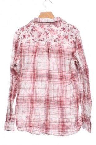 Damenbluse Ariat, Größe XS, Farbe Mehrfarbig, Preis 6,99 €