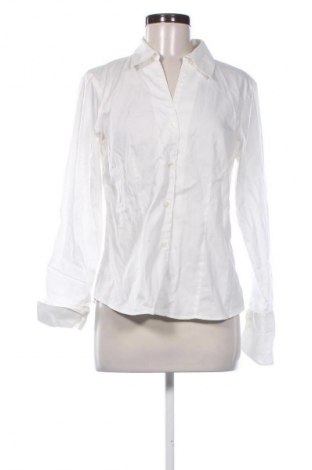 Damenbluse Calvin Klein, Größe S, Farbe Weiß, Preis € 46,00