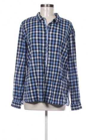 Damenbluse Cecil, Größe XL, Farbe Mehrfarbig, Preis € 15,99