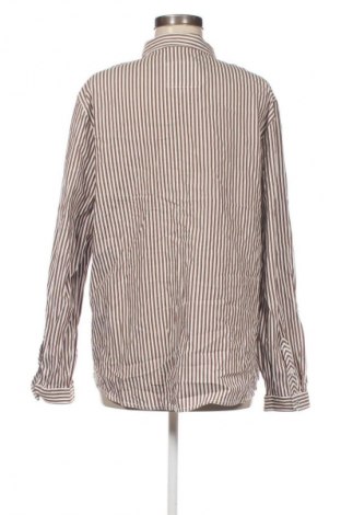 Damenbluse Cecil, Größe XL, Farbe Mehrfarbig, Preis € 10,99