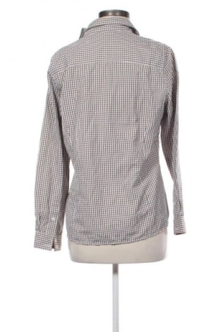 Damenbluse Collection L, Größe M, Farbe Mehrfarbig, Preis € 5,99