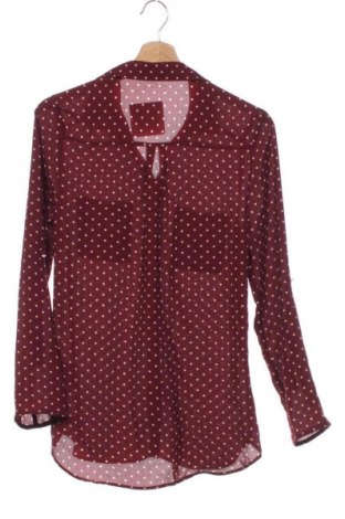 Damenbluse Colosseum, Größe XS, Farbe Mehrfarbig, Preis € 6,99