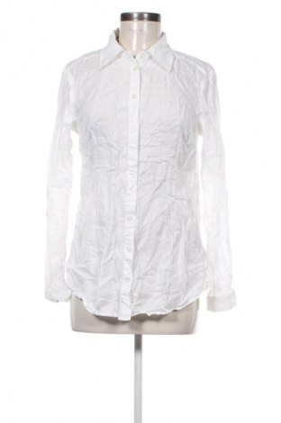 Damenbluse Donna, Größe S, Farbe Weiß, Preis 11,99 €