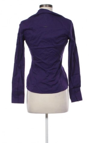 Damenbluse Esprit, Größe S, Farbe Lila, Preis € 8,99