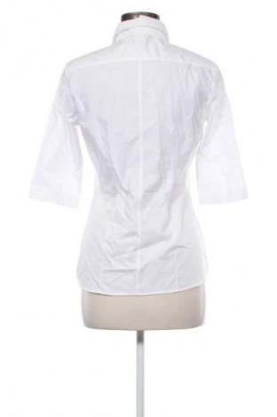 Damenbluse Eterna, Größe M, Farbe Weiß, Preis € 22,99