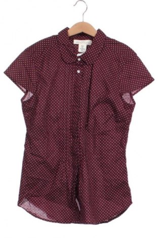 Damenbluse H&M, Größe XS, Farbe Mehrfarbig, Preis € 13,00