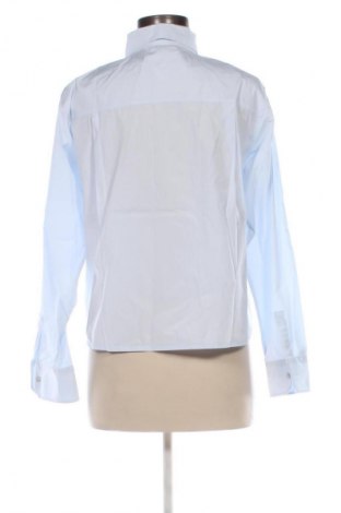 Damenbluse Massimo Dutti, Größe L, Farbe Blau, Preis € 28,00