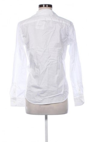 Damenbluse Polo Ralph Lauren, Größe M, Farbe Weiß, Preis € 69,99