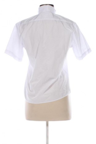 Damenbluse Stallion, Größe M, Farbe Weiß, Preis € 12,69