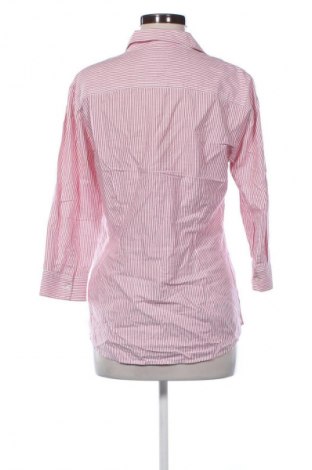 Damenbluse Tommy Hilfiger, Größe M, Farbe Mehrfarbig, Preis € 22,99