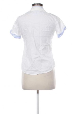 Damenbluse Tommy Hilfiger, Größe M, Farbe Ecru, Preis € 30,99