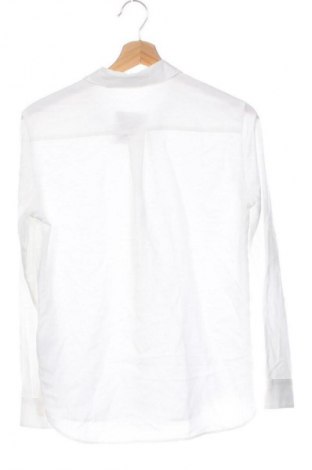 Damenbluse Uniqlo, Größe XS, Farbe Weiß, Preis € 11,99