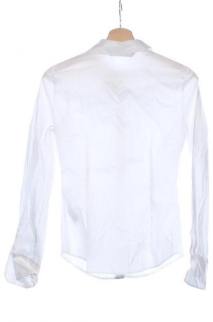 Damenbluse Zara, Größe XS, Farbe Weiß, Preis € 14,00