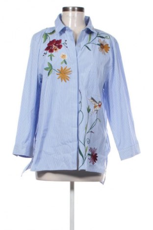 Damenbluse Zara, Größe XXL, Farbe Mehrfarbig, Preis € 19,99