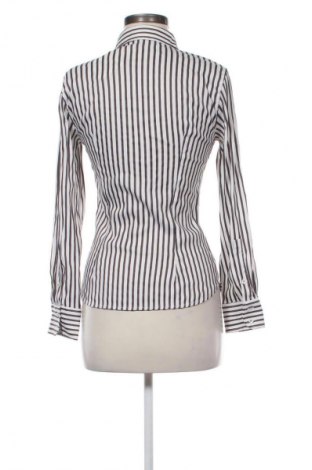 Damenbluse Zara, Größe S, Farbe Mehrfarbig, Preis € 11,99