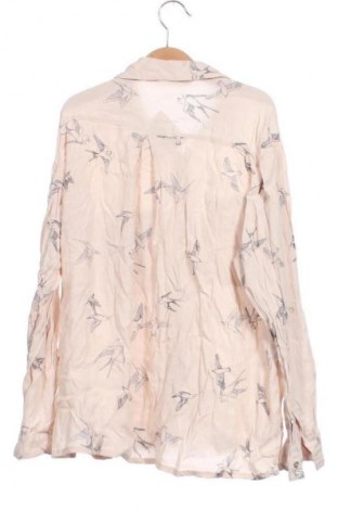 Damenbluse Zara, Größe XS, Farbe Mehrfarbig, Preis € 13,81