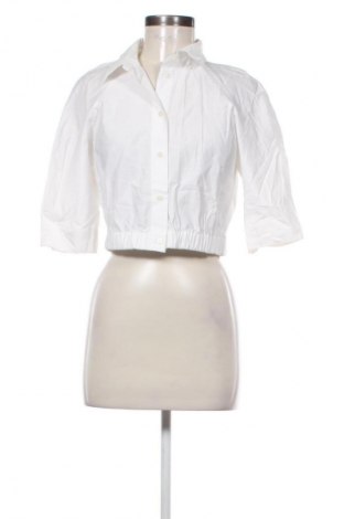 Damenbluse Zara, Größe M, Farbe Weiß, Preis € 15,99