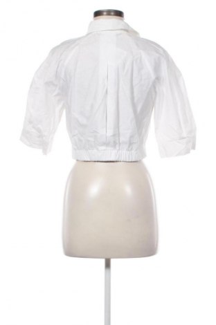 Damenbluse Zara, Größe M, Farbe Weiß, Preis € 15,99