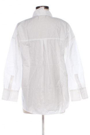 Damenbluse Zara, Größe S, Farbe Weiß, Preis € 14,00