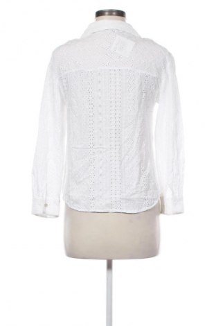 Damenbluse Zara, Größe M, Farbe Weiß, Preis 12,99 €