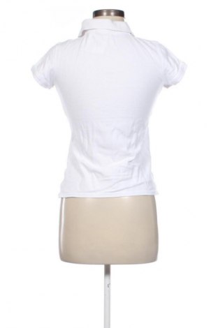 Damen T-Shirt Polo Club, Größe S, Farbe Weiß, Preis 18,18 €