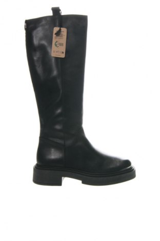 Damenstiefel Steve Madden, Größe 39, Farbe Schwarz, Preis € 124,99