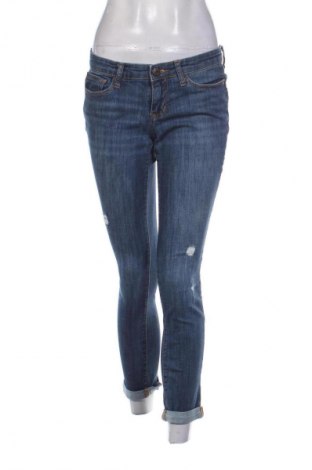 Damen Jeans Gap, Größe L, Farbe Blau, Preis € 24,55