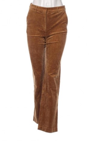 Damen Cordhose H&M, Größe S, Farbe Braun, Preis € 9,99