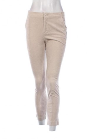 Damen Cordhose Massimo Dutti, Größe S, Farbe Ecru, Preis 26,99 €