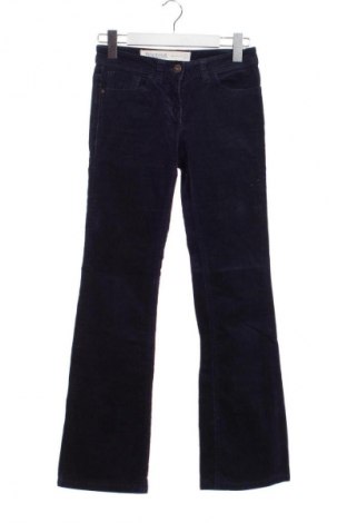 Damen Cordhose Next, Größe XS, Farbe Blau, Preis € 25,00