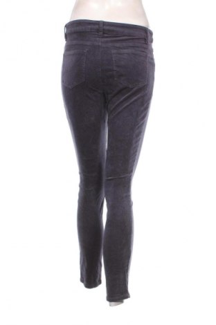 Damen Cordhose Suzanne Grae, Größe M, Farbe Blau, Preis € 13,99