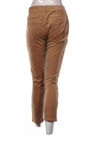 Dámske menčestráky United Colors Of Benetton, Veľkosť M, Farba Hnedá, Cena  13,95 €